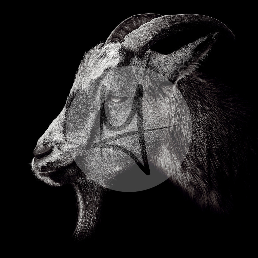 DSC_2847 | Meurer Shop - Realisiert mit Pictrs.com