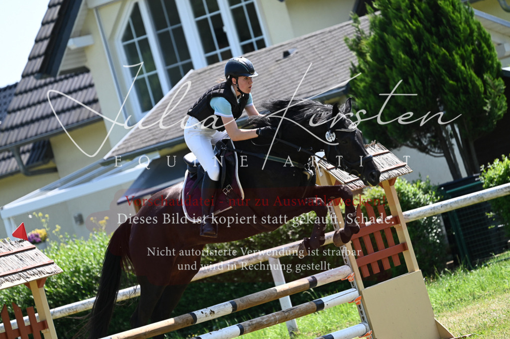 DSC_0722 | Pferde- und Turnierfotografie in Westsachsen. Pferdeportraits, Auftragszeichnungen und intuitive Kunst.