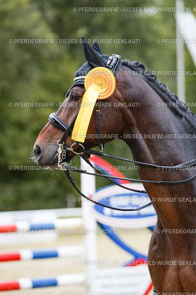 DSC02549 | Pferdegrafie