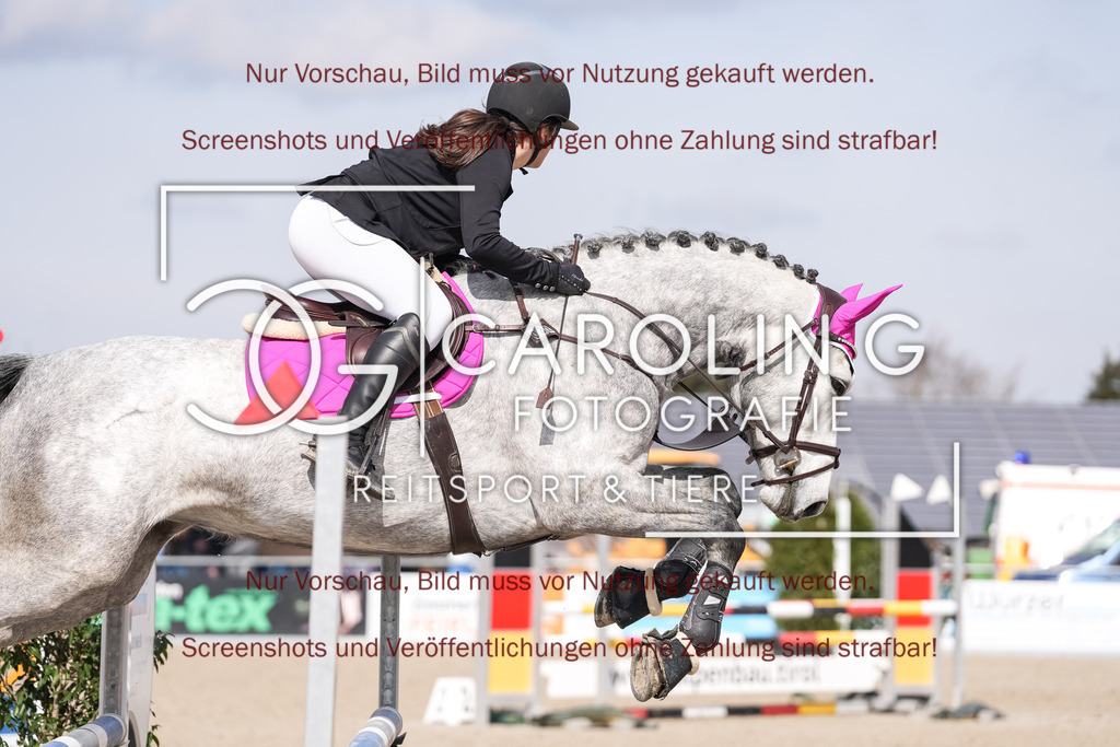 DSC05478 | Late_entry_Springturnier_Bad_Wurzach, Paula_Igelmaier, Viva_la_Diva_14