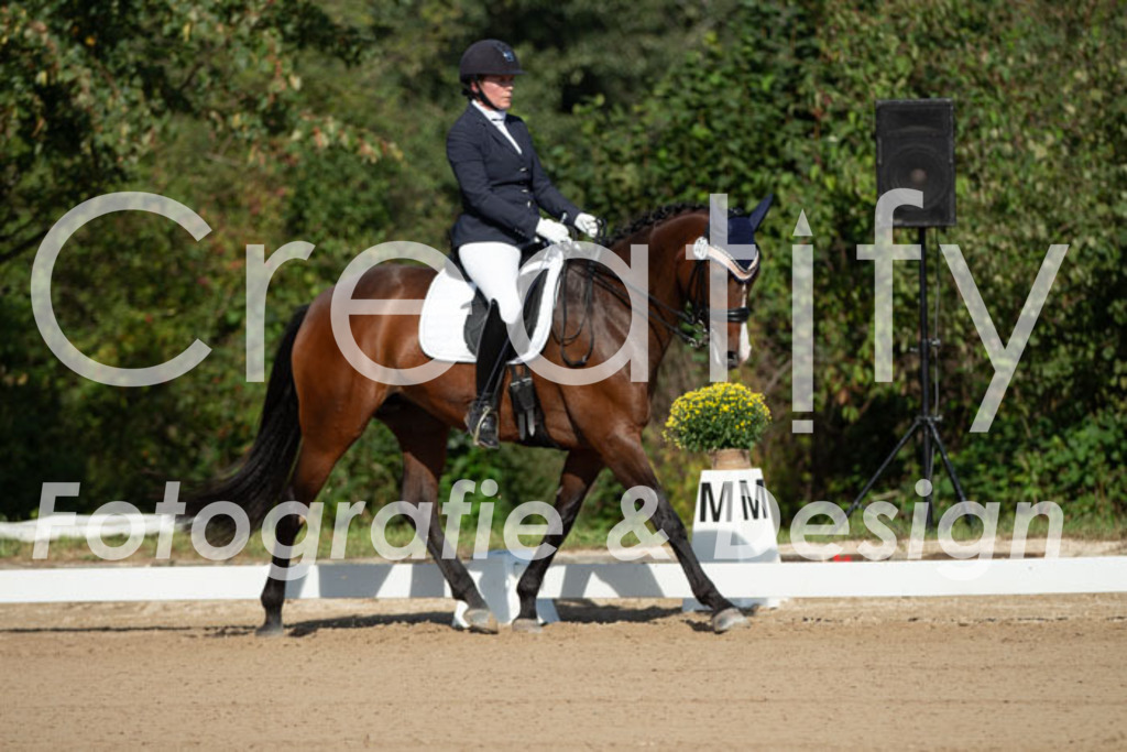 IMG_0266 | Creatify Fotografie