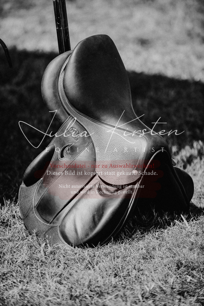 DSC_8885 | Pferde- und Turnierfotografie in Westsachsen. Pferdeportraits, Auftragszeichnungen und intuitive Kunst.