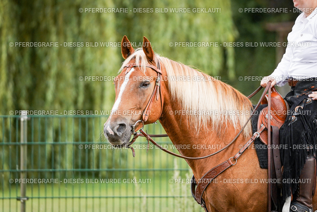 DSC08970 | Pferdegrafie