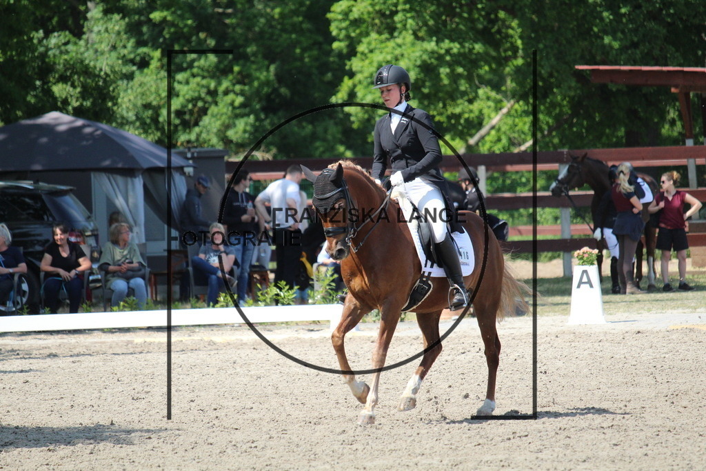 IMG_4776 | franziskalange - Realisiert mit Pictrs.com