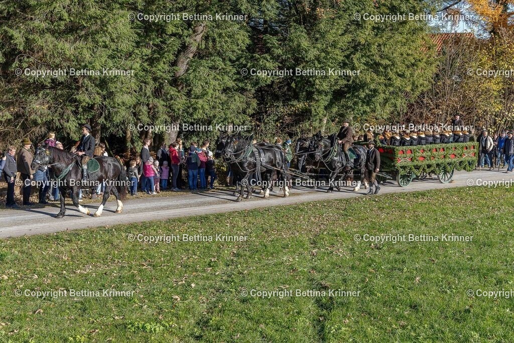 LBT25-680 | foto-bettina-krinner - Realisiert mit Pictrs.com