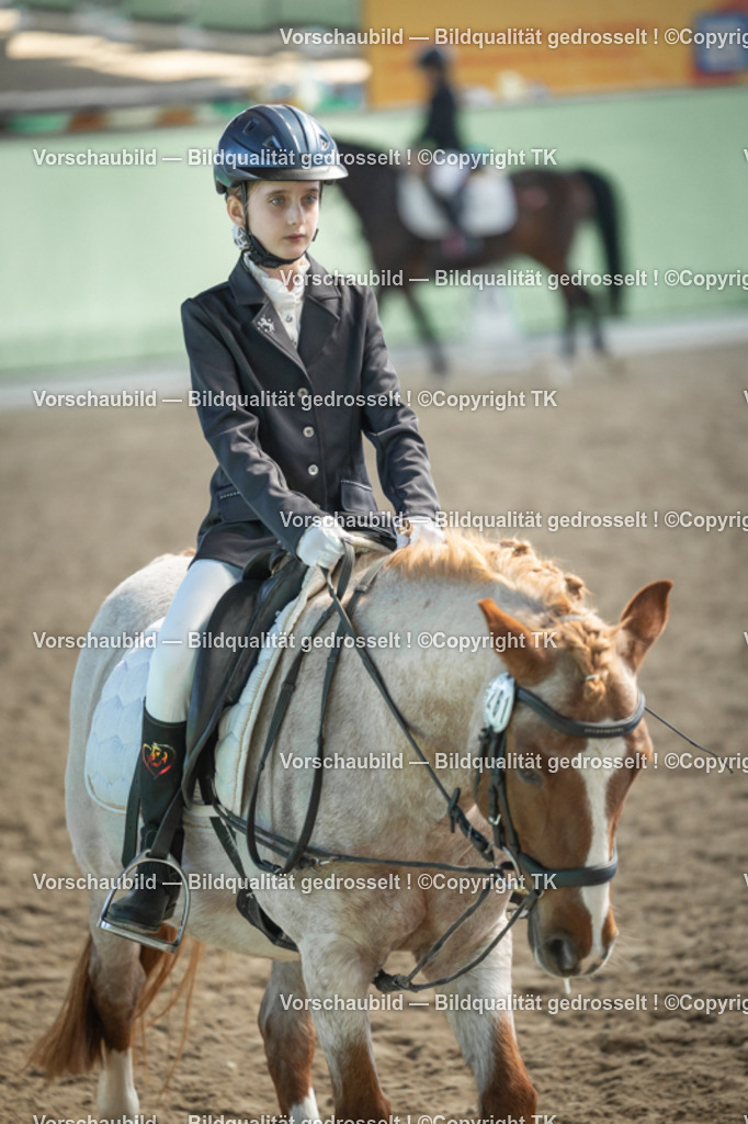 _D5A9013 | Emotionale Pferde- & People-Fotografie rund um Heidelberg, Leimen & Umgebung. Natürliche Fotos von Pferd, Mensch & Familie. Jetzt Termin sichern!