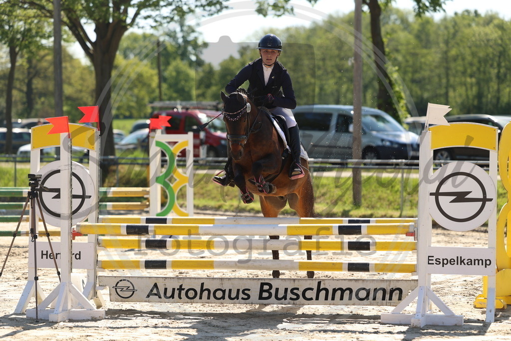 994A5584 | sabrinanicolaifotografie - Realisiert mit Pictrs.com