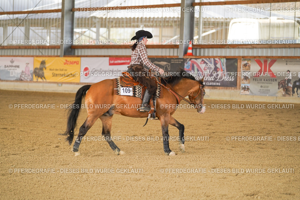 DSC06986 | Pferdegrafie