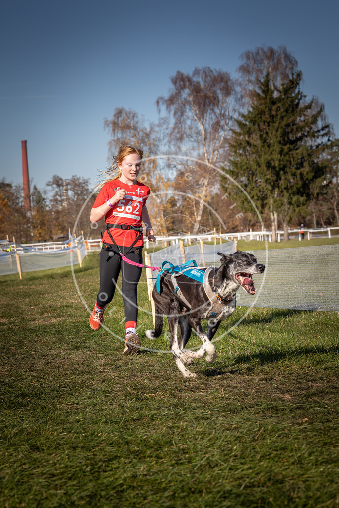 CaniXpix_0L8A7972 | Hundefotografie, Tierfotograf, Pfotenfotografie, Fotoshooting Hund, Hunde Portrait, Hundesport, Hundeportraits, Heideshooting, Hunde, Sportfotograf, Hundefotograf, Turnierhundsport, THS,  - Realisiert mit Pictrs.com