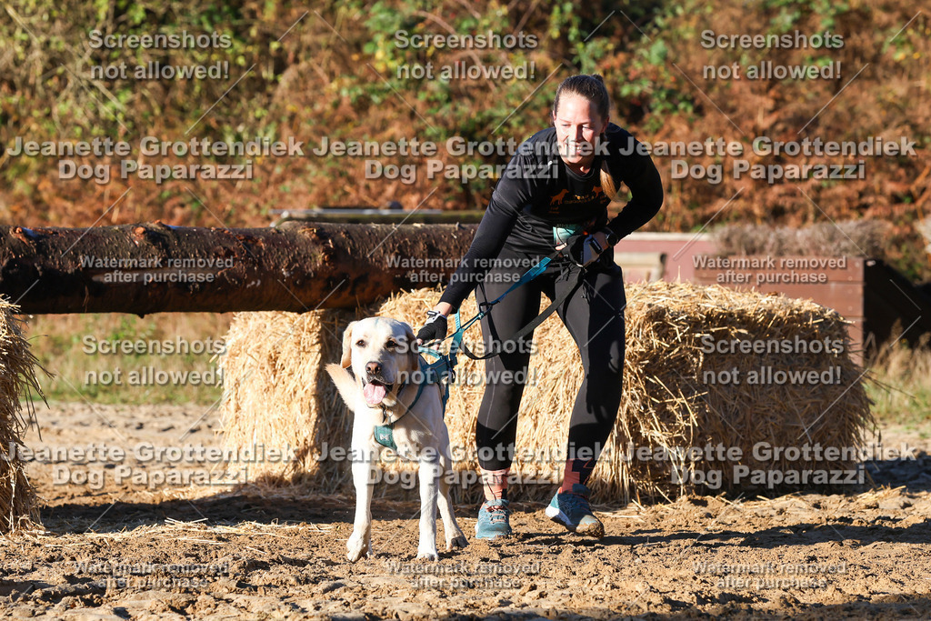 Dog Paparazzi - Strongdog 10-25-1143 | Dog Paparazzi Jeanette Grottendiek Fotografie & Videografie - Realisiert mit Pictrs.com