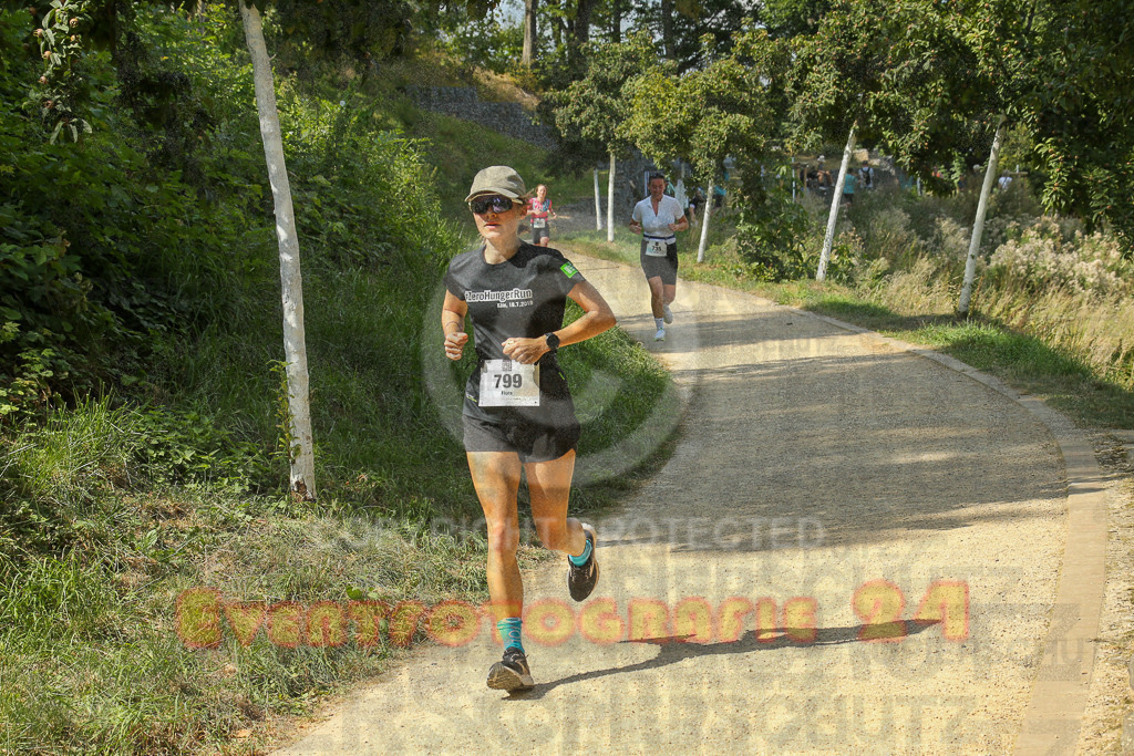250824_1449_EX1_7674 | Sportfotografie im Rhein-Sieg Kreis, Köln, Bonn, NRW, Rheinland Pfalz, Hessen, etc. Unser Tätigkeitsfeld umfasst den Laufsport vom Volkslauf über den Marathon, Duathlon, Triathon bis zum Ultralauf wie Kölnpfad Ultra oder Schindertrail.