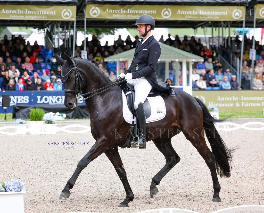 1B3A7717 | Reitsport Reiten