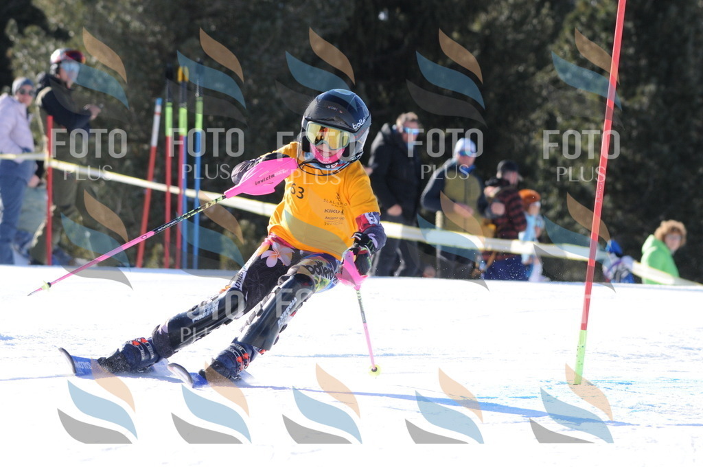 C6917 | holidayphoto