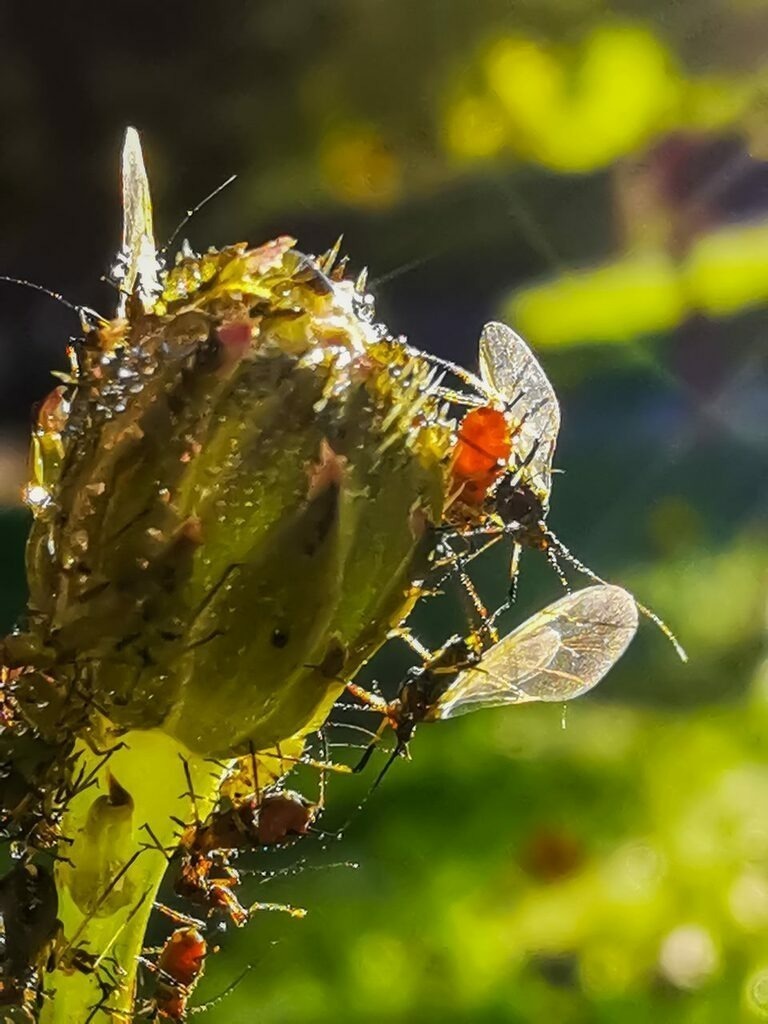 PSX_20220920_224652 | mtkfoto_ - Realisiert mit Pictrs.com