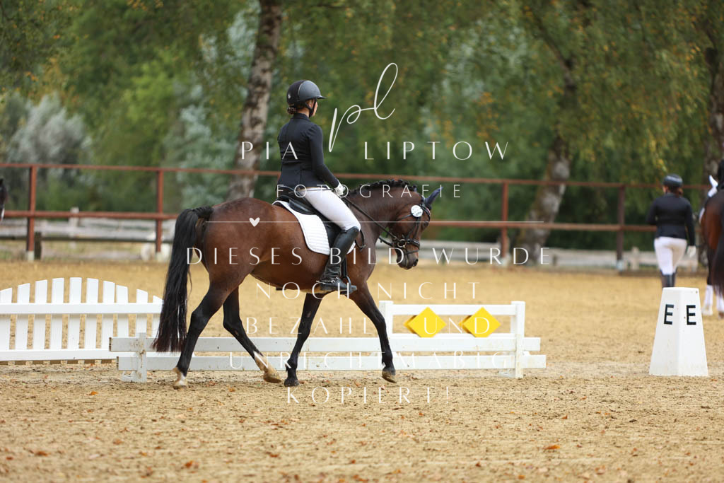 IMGM0572 | pl-fotografie