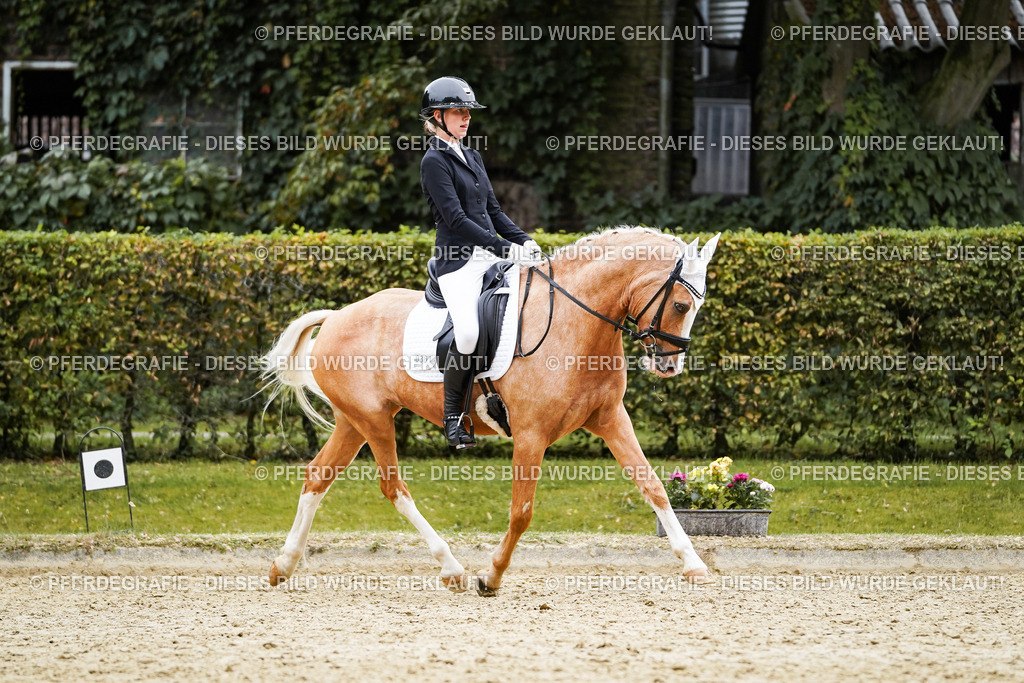 DSC01165 | Pferdegrafie