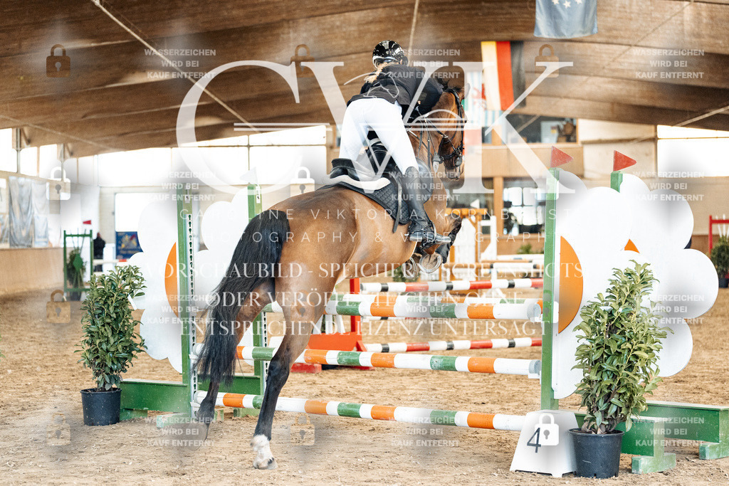 CK904854 | Turnierfotografie Pferdefotografie Trier Rheinland-Pfalz Pferdesport Reitsport Tierfotografie Sportfotografie Pferdevideo Pferdevideografie Equestrianvideography equestrianphotography  - Realized with Pictrs.com