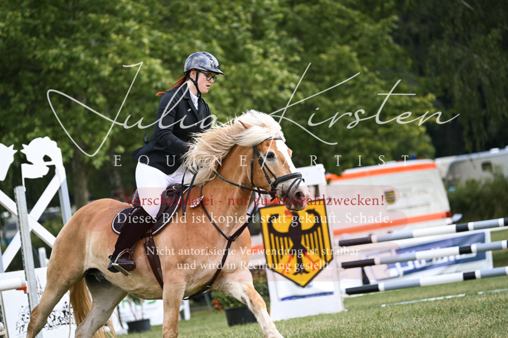 DSC_9058 | Pferde- und Turnierfotografie in Westsachsen. Pferdeportraits, Auftragszeichnungen und intuitive Kunst.