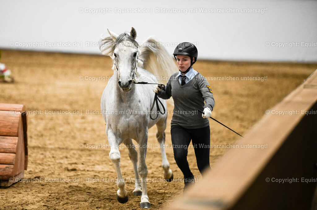 20260307_Hengstvorstellung-Marbach_0409 | equistock