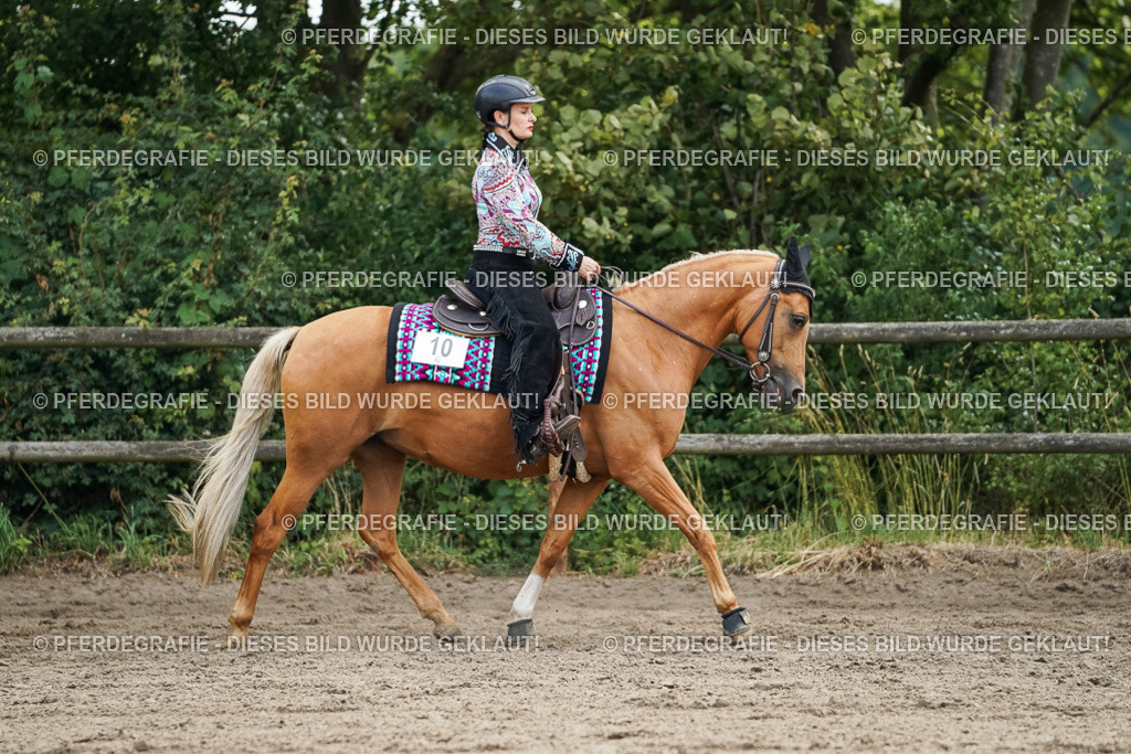 DSC03480 | Pferdegrafie