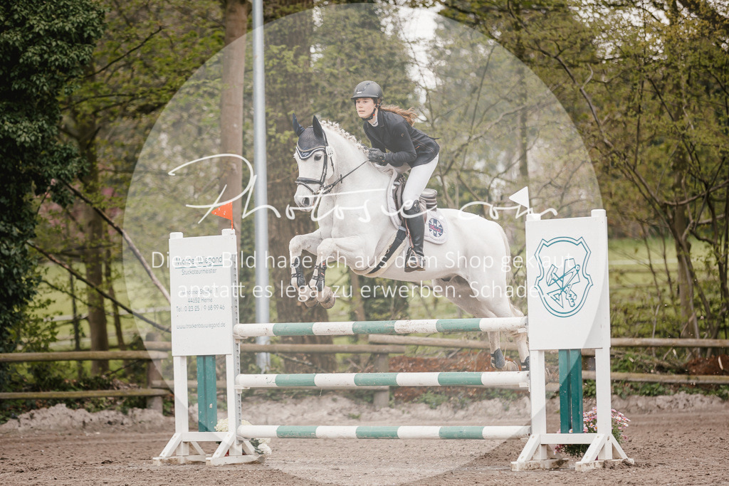 3I6A4388 | Stimmungsvolle Portraits und Reitsportfotografie im Ruhrgebiet und im Münsterland.

Pferdefotografie, Hundefotografie, Tierfotografie, Reportagen, Portraits von Tier und Mensch, Turnierfotografie in Bochum, Recklinghausen, Marl, Haltern am See, Dülmen.. - Realisiert mit Pictrs.com