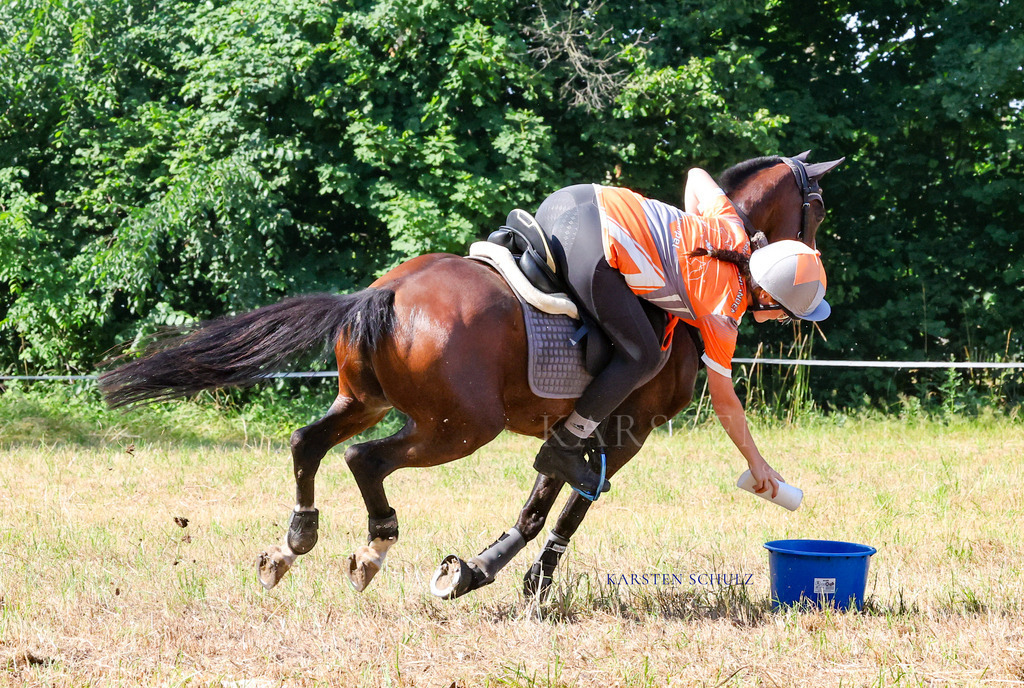 1B3A7827 | Reitsport Reiten