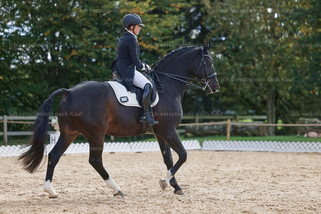 09_2-183-DRESSUR  S_  -StoibPH-5906 | working equitationturnier fotograf videograf stoibphotography marixx film working equitation deutschland reitsport turnierfotografie eventfotografie equestrian events