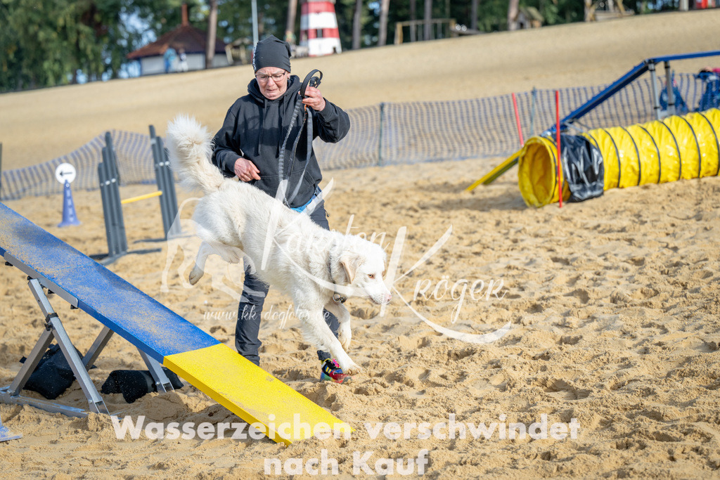 0950_ZZ92890 | kk-dogfotos