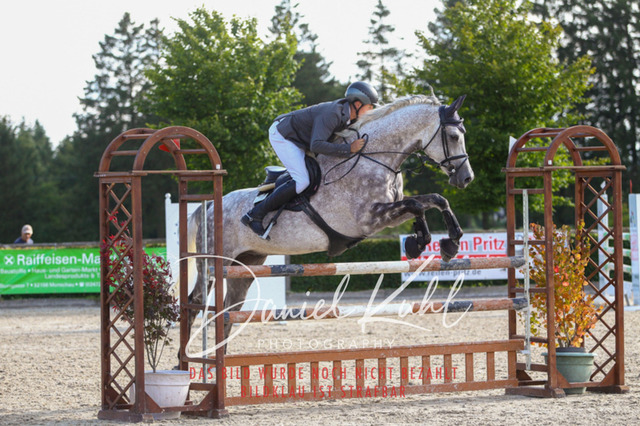 DKP43922 | Turniersportfotografie; Pferdefotografie; Dressurfotografie