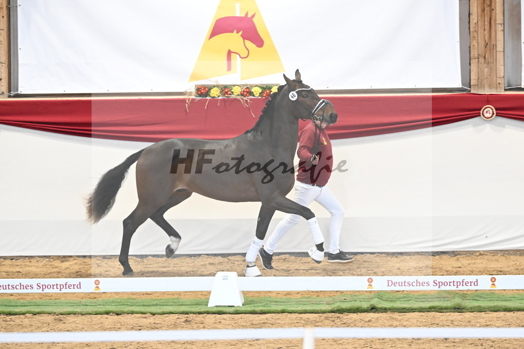 Kat.-Nr. 46 v. Escolar_2M2 Horses_3260388 | hf-fotografie - Realizzato con Pictrs.com