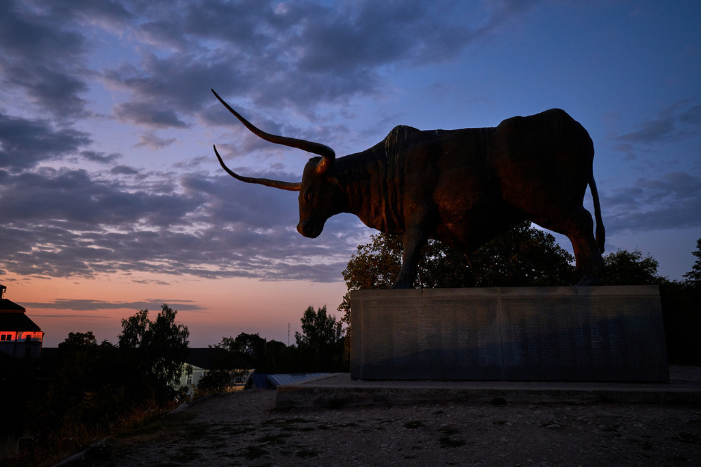 Der Auerochse von Rakvere im Abendlicht | Rakvere, Estland - August 23, 2022: Der Auerochse von Rakvere im Abendlicht - Realisiert mit Pictrs.com