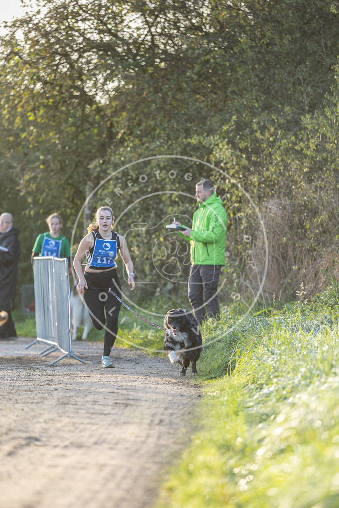 Pfotenfotografie.de_DV3A2462 | Hundefotografie, Tierfotograf, Pfotenfotografie, Fotoshooting Hund, Hunde Portrait, Hundesport, Hundeportraits, Heideshooting, Hunde, Sportfotograf, Hundefotograf, Turnierhundsport, THS, canicross - Realisiert mit Pictrs.com