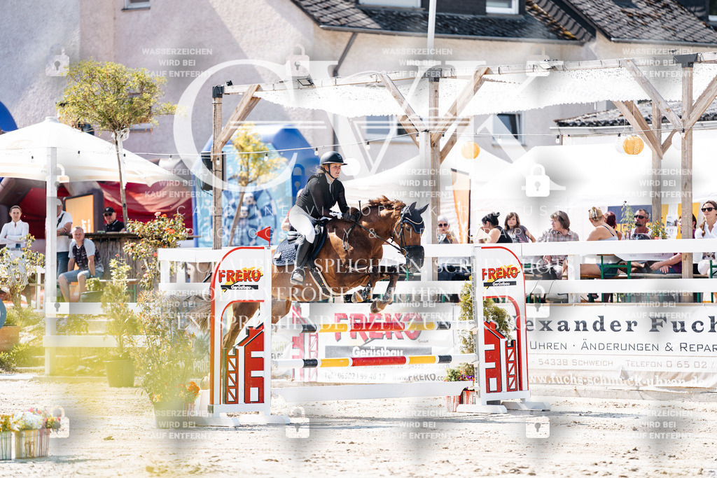 CK908490 | Turnierfotografie Pferdefotografie Trier Rheinland-Pfalz Pferdesport Reitsport Tierfotografie Sportfotografie Pferdevideo Pferdevideografie Equestrianvideography equestrianphotography  - Realisiert mit Pictrs.com