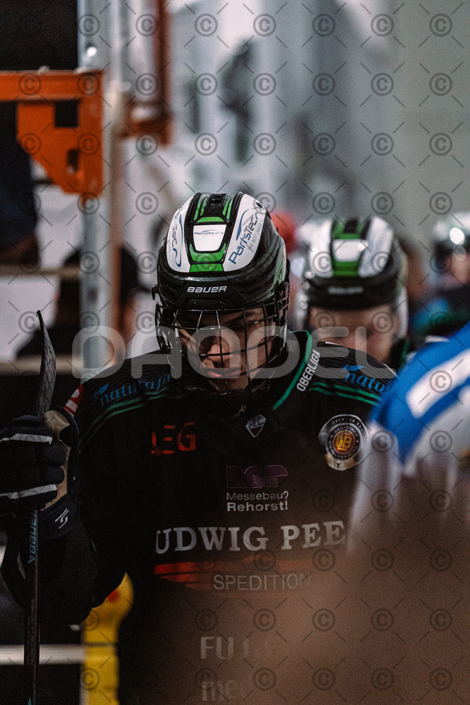 Alligators_vs_Peiting_04_01_2026-075 | Höchstadt Alligators Fotogalerie: Eishockey-Action aus Franken. Professionelle Spielfotos, Portraits & Stadionbilder zum Download. Jetzt entdecken! - Realisiert mit Pictrs.com
