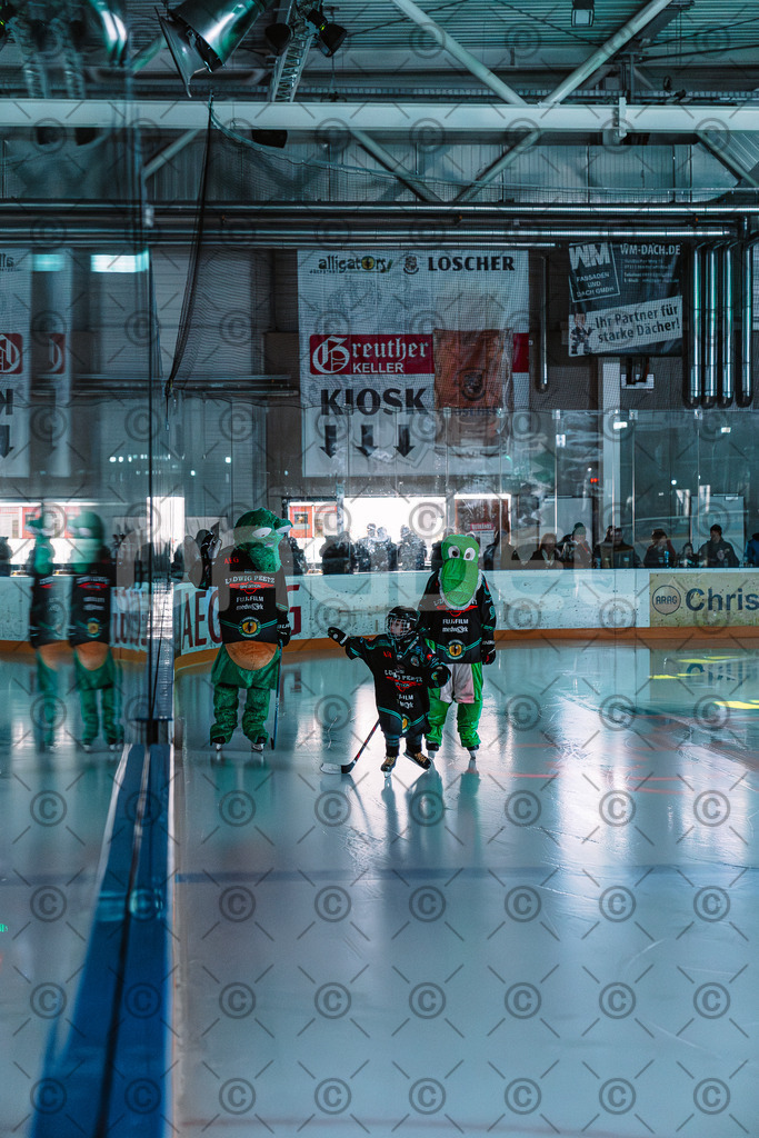 Alligators_vs_Deggendorf_30_11_2025-009 | Höchstadt Alligators Fotogalerie: Eishockey-Action aus Franken. Professionelle Spielfotos, Portraits & Stadionbilder zum Download. Jetzt entdecken! - Realisiert mit Pictrs.com
