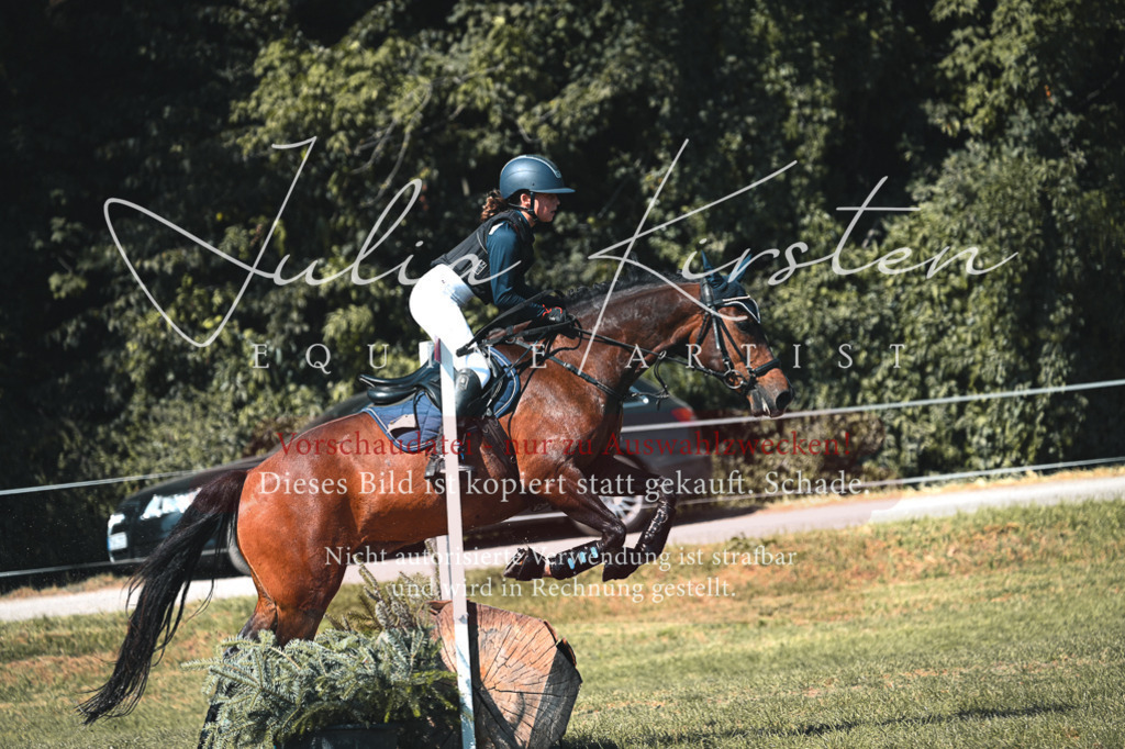 DSC_8379 | Pferde- und Turnierfotografie in Westsachsen. Pferdeportraits, Auftragszeichnungen und intuitive Kunst.