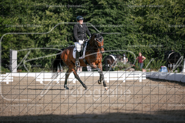 _W6A1829 | ronjaprokoschfotografie - Realisiert mit Pictrs.com