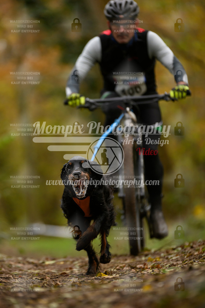 MompixPhotography_Bischwiller24_SA_VTT-6 | PayLife