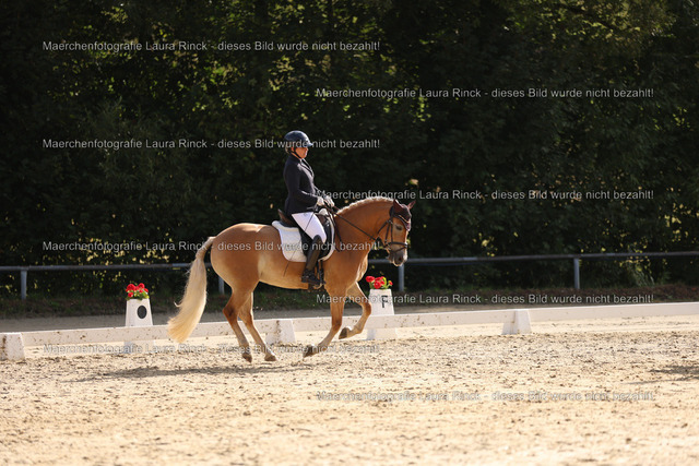 HG9A9841 | laurarinckfotografie - Realisiert mit Pictrs.com