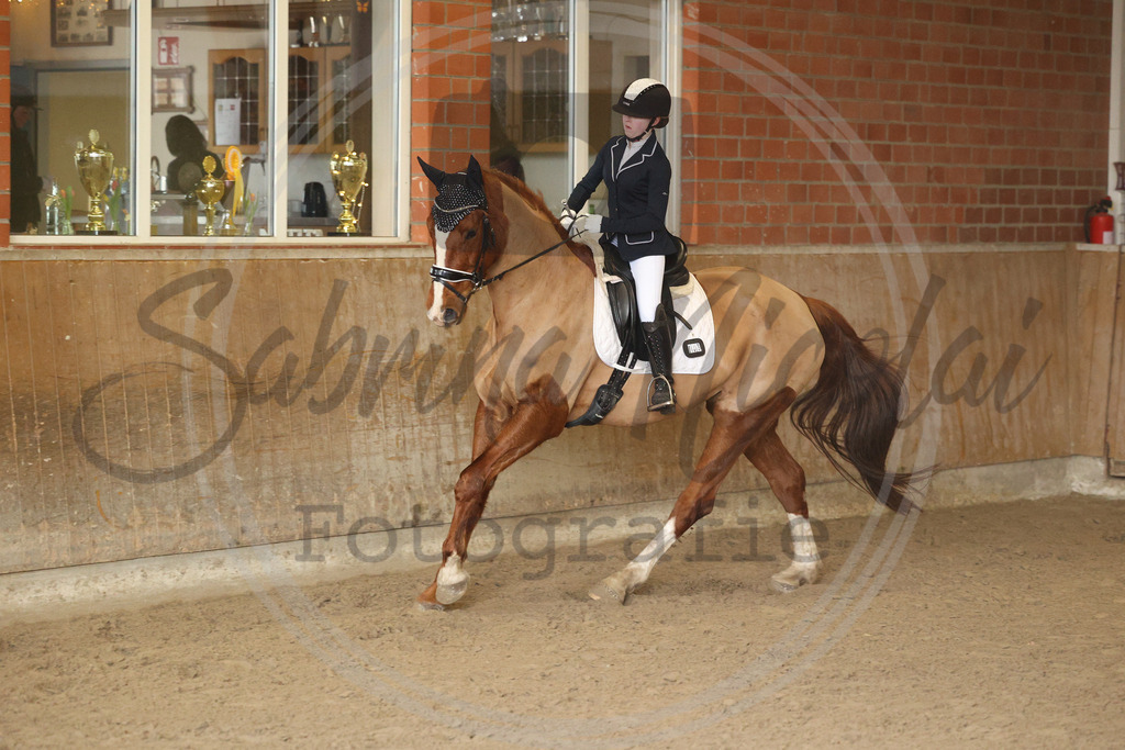 994A9094 | sabrinanicolaifotografie - Realisiert mit Pictrs.com