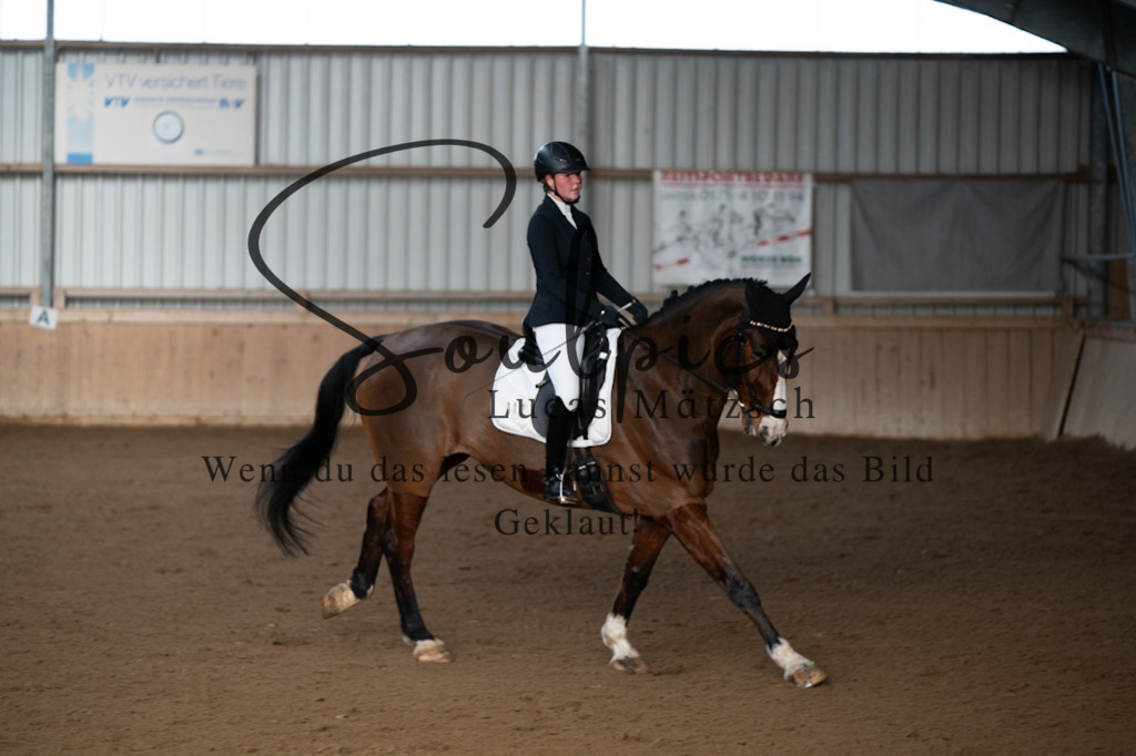 A7V05321 | Pferdefotograf