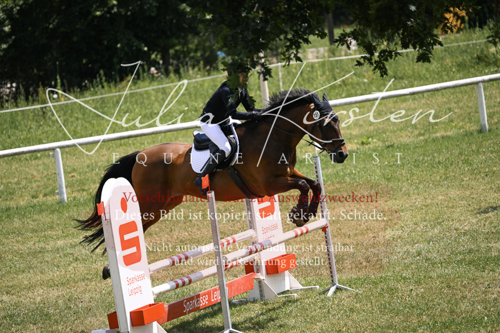 DSC_9773 | Pferde- und Turnierfotografie in Westsachsen. Pferdeportraits, Auftragszeichnungen und intuitive Kunst.