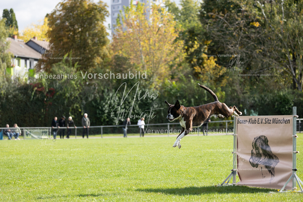 _16A6898 | Einzigartige Fotos von Hunden & Menschen –Actionfotos, Portraits, Vereinsaufnahmen & Paarshootings – authentisch, lebendig & mit Herz.