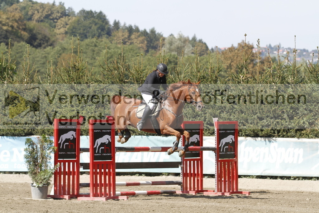 _MG_6388 | equestrian-live-com