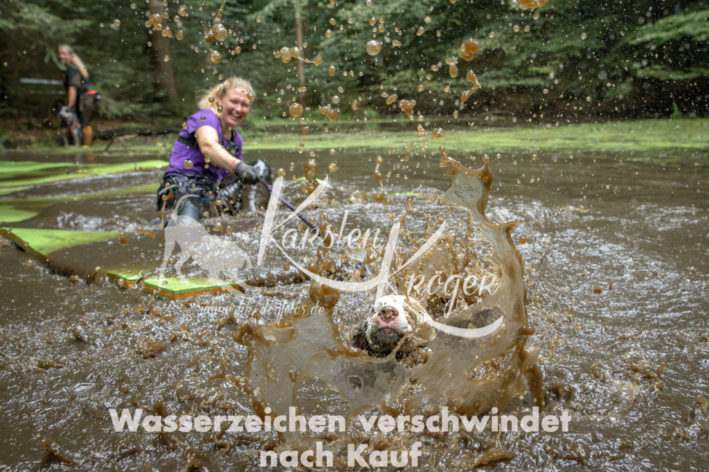 1530_ZZ91049-Bearbeitet | kk-dogfotos