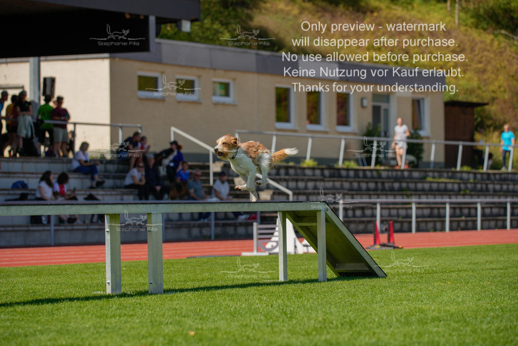 Sonntag_VK Hindernis (484 von 671) | stephaniefillaphotographie - Realisiert mit Pictrs.com