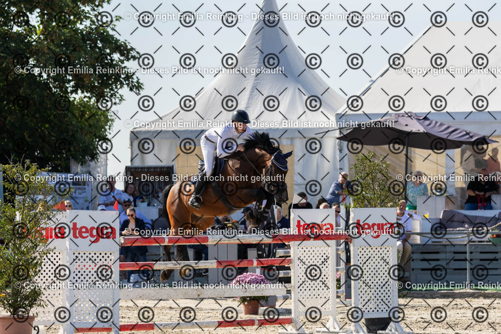 CL5A0002 | Emilia Reinking Fotografie - Realisiert mit Pictrs.com