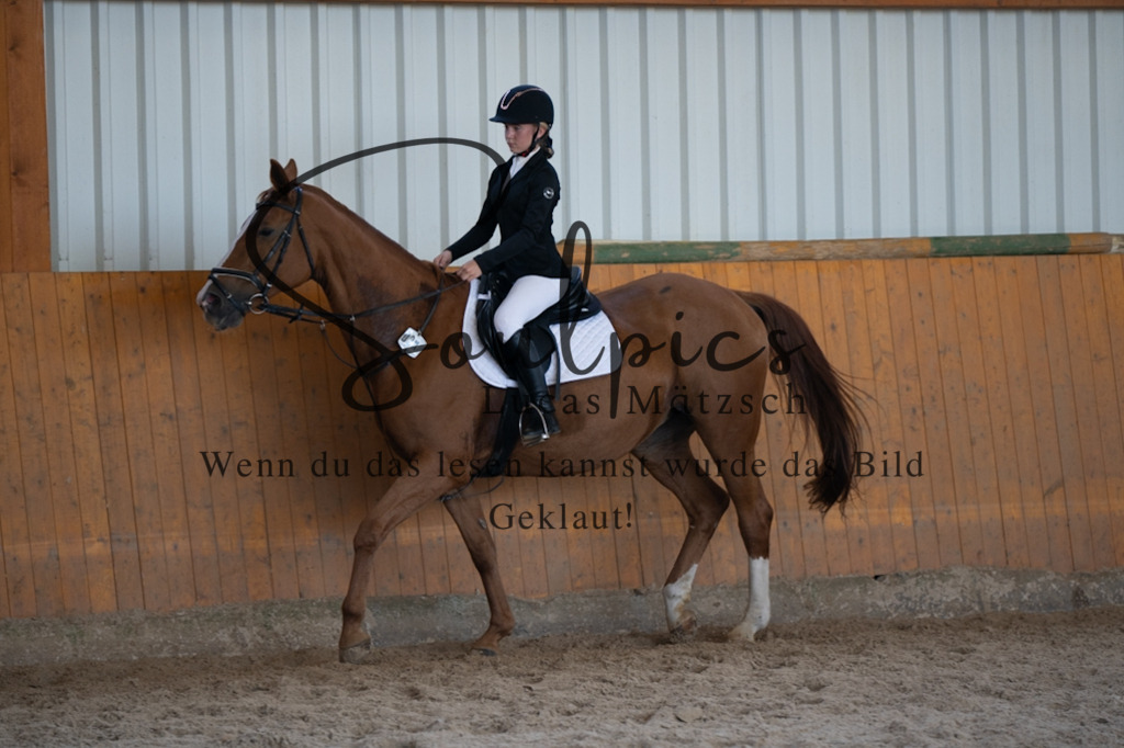 A7V02078 | Turnier/Reitfotograf