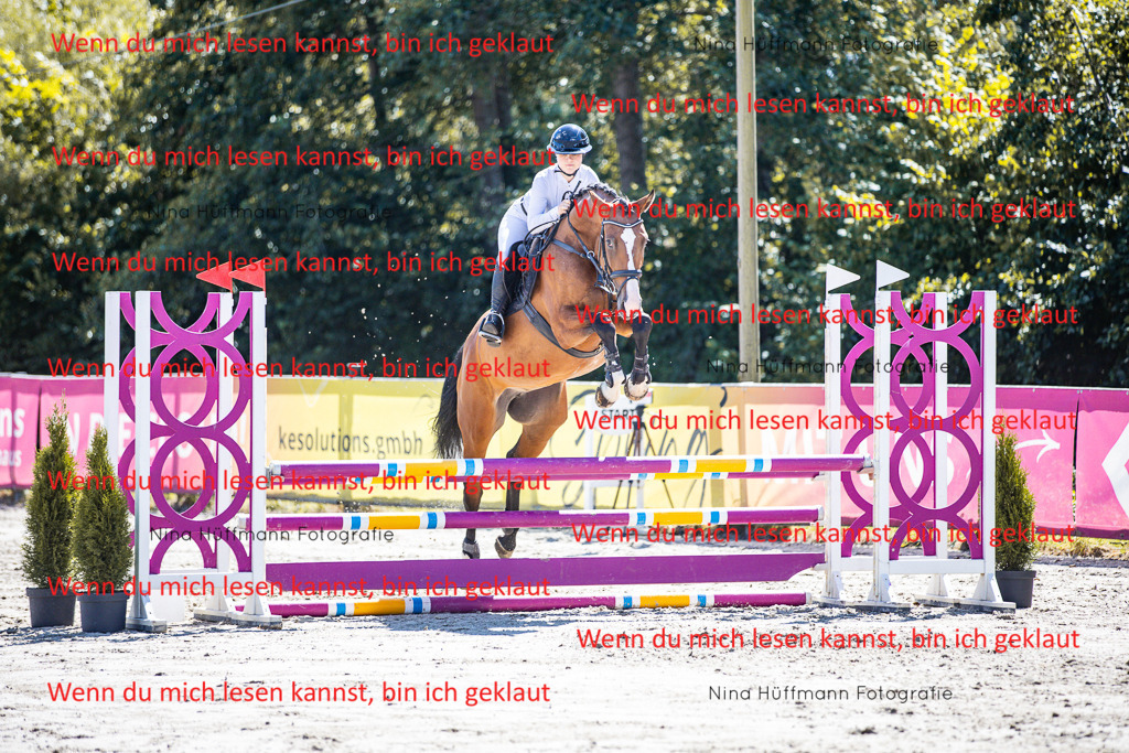 BK1A5312 | Turnierbilder Turnierfotos Nina Hüffmann Turnierfotografie Pferdefotografie Tierzeichnung Haustierzeichnung Pferdezeichnung Hundezeichnung Videograf  - Realisiert mit Pictrs.com