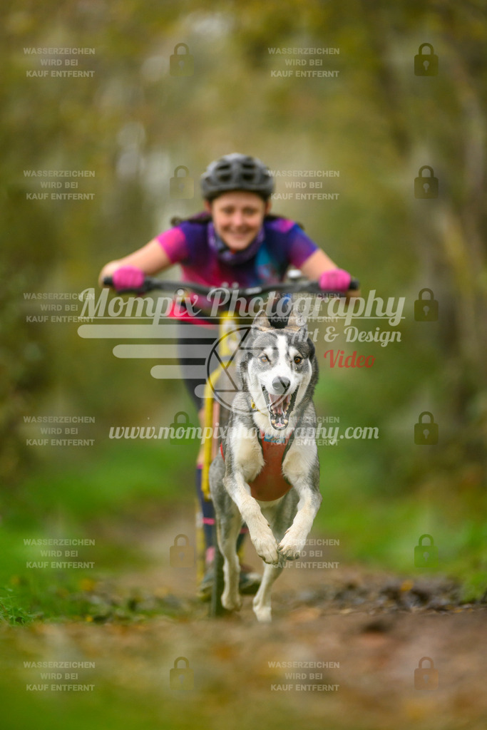 MompixPhotography_20TSB_E6_DS1-46 | PayLife